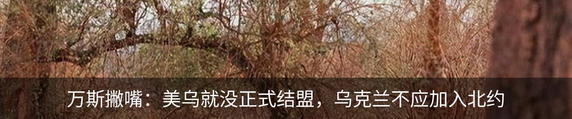 新闻动态