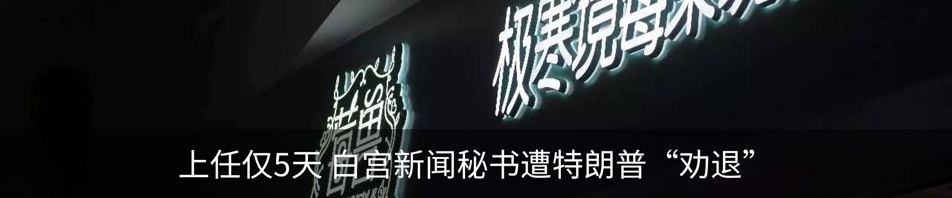 新闻动态