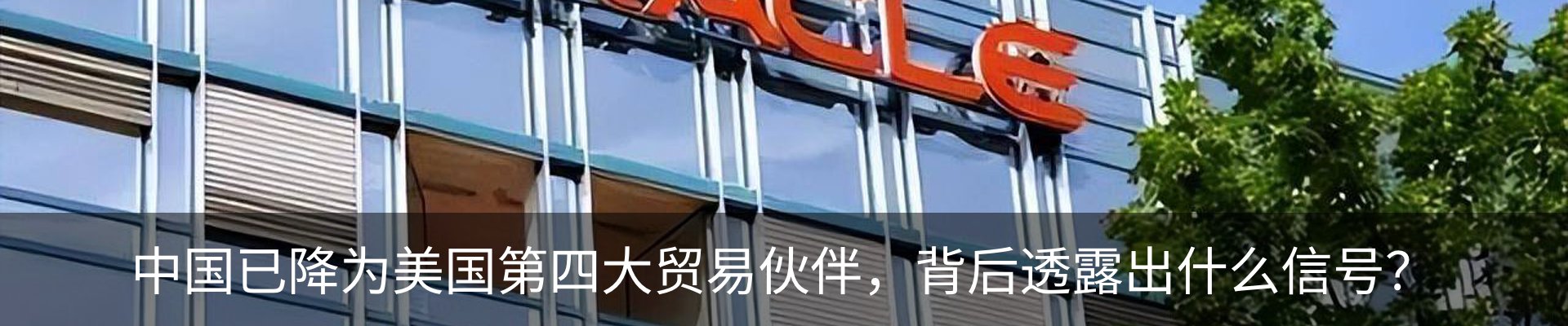 新闻动态