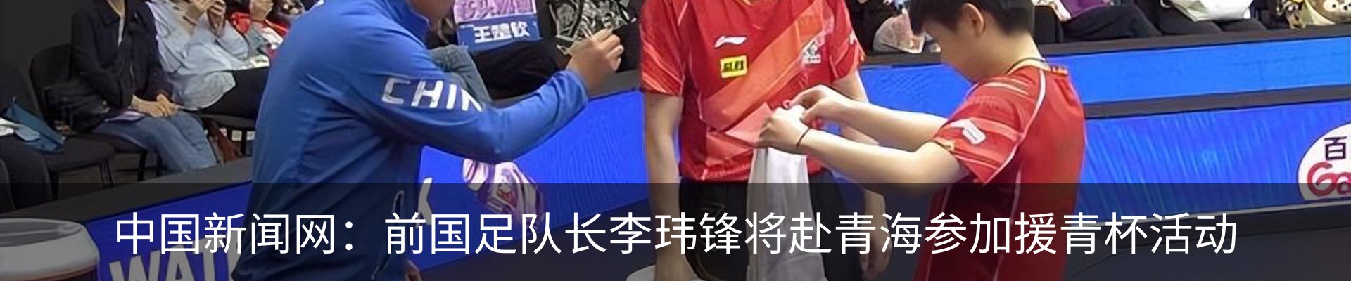 新闻动态