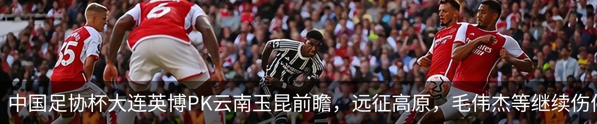 新闻动态