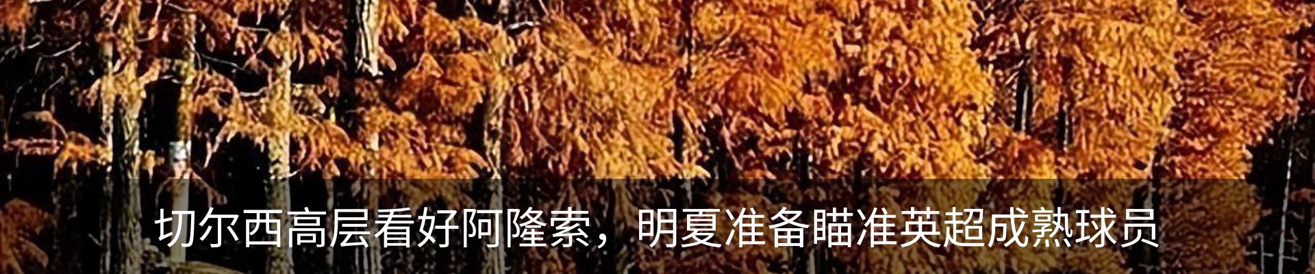 新闻动态