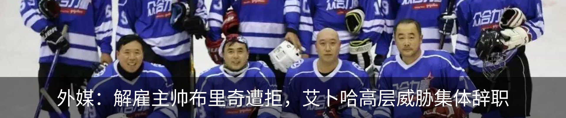 新闻动态