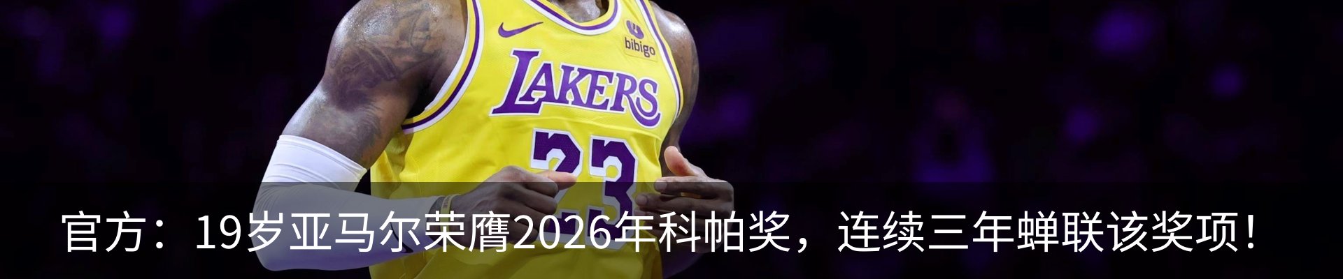 新闻动态