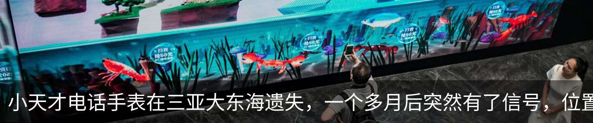 新闻动态