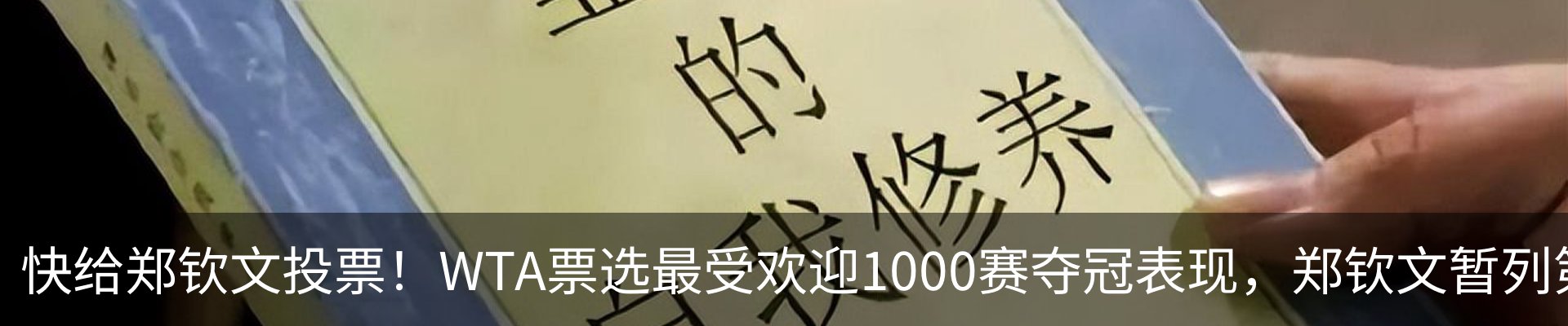 新闻动态