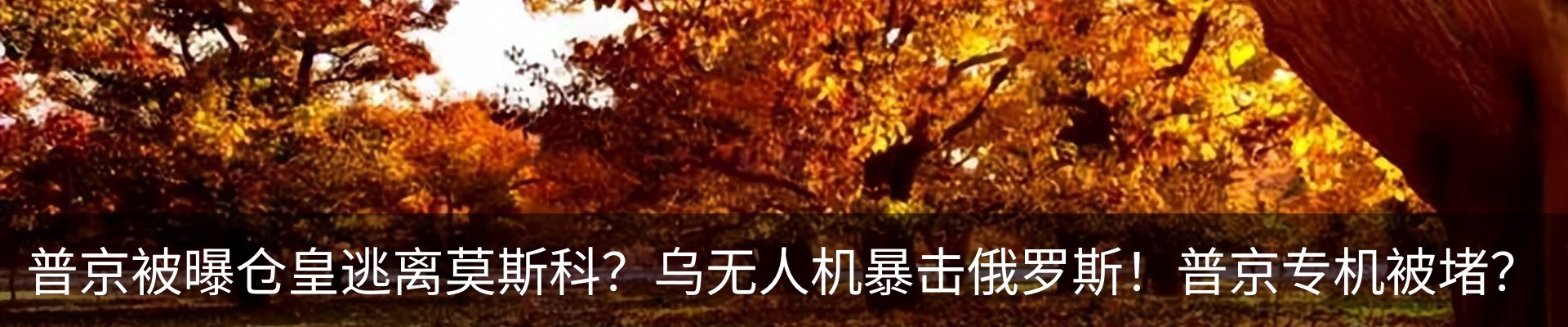 新闻动态