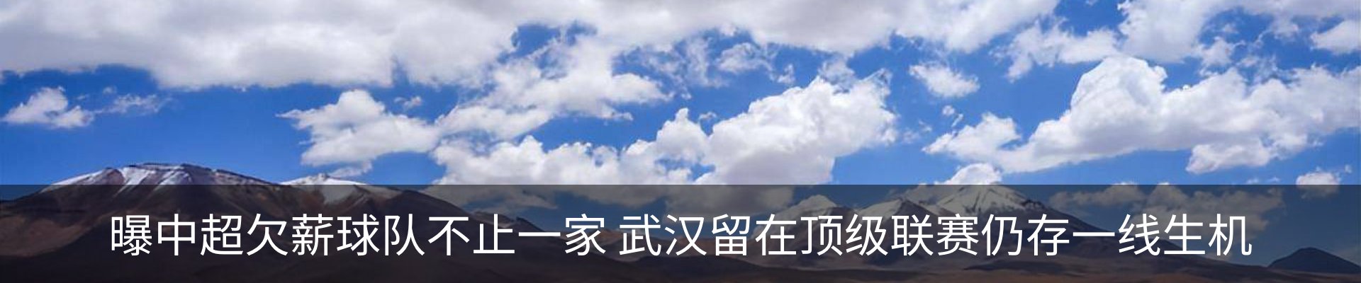 新闻动态