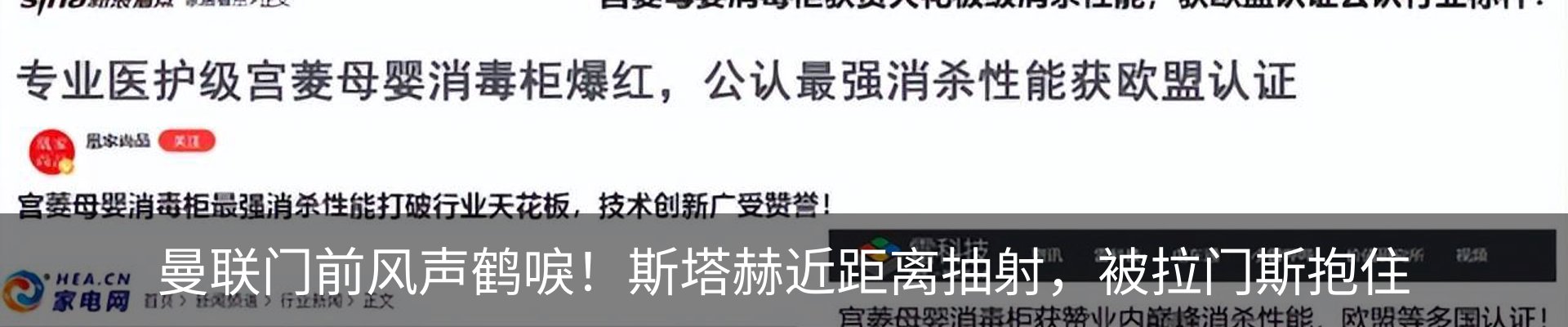 新闻动态
