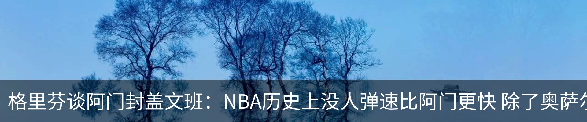 新闻动态