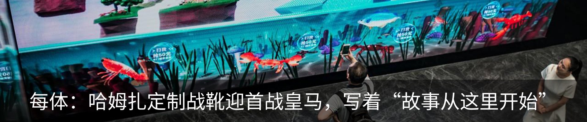 新闻动态