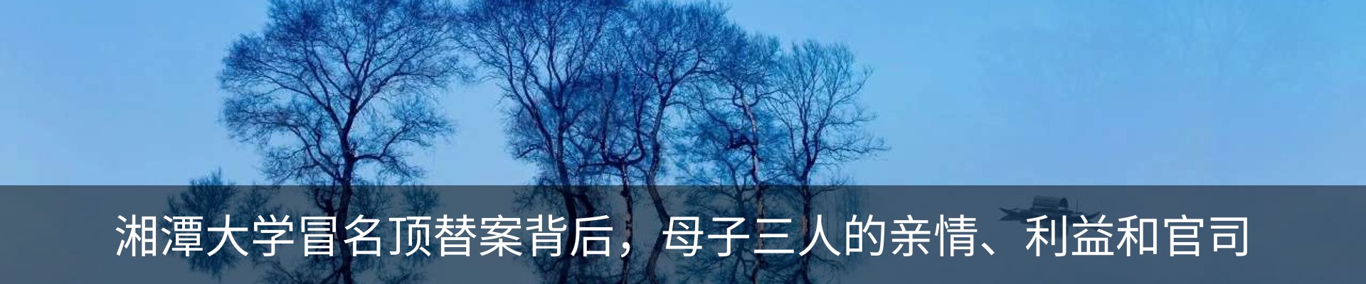 新闻动态