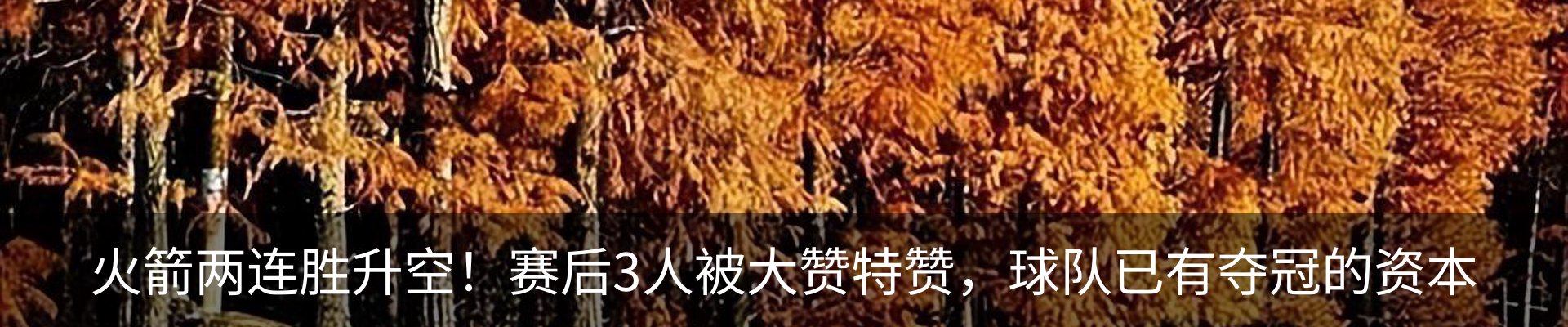 新闻动态