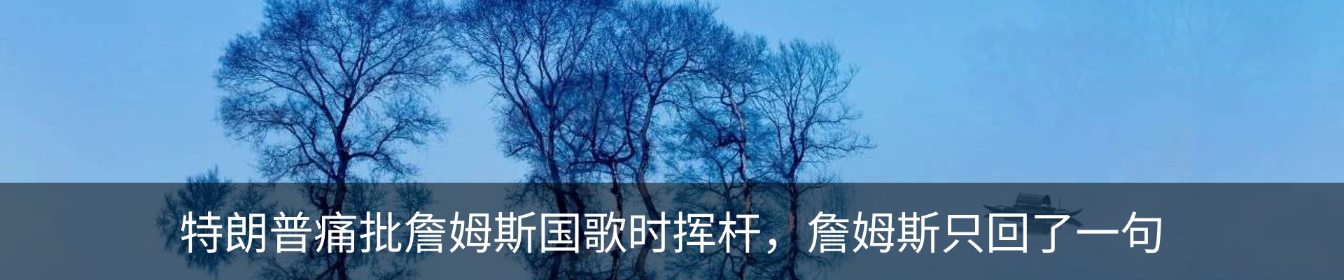 新闻动态