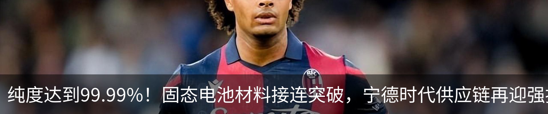 新闻动态