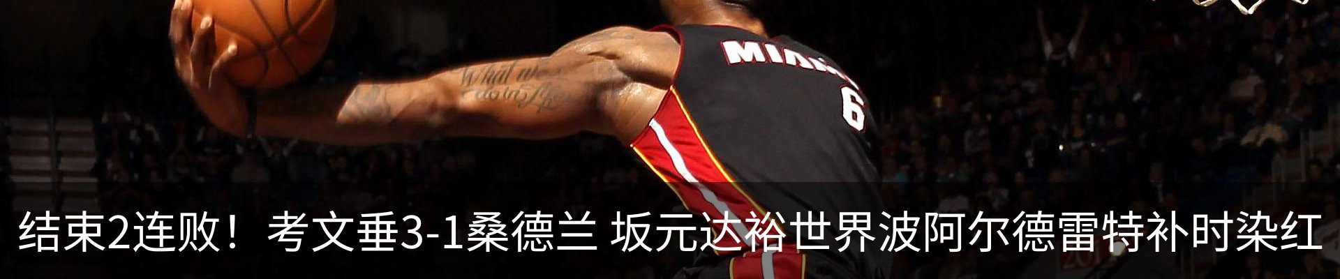 新闻动态
