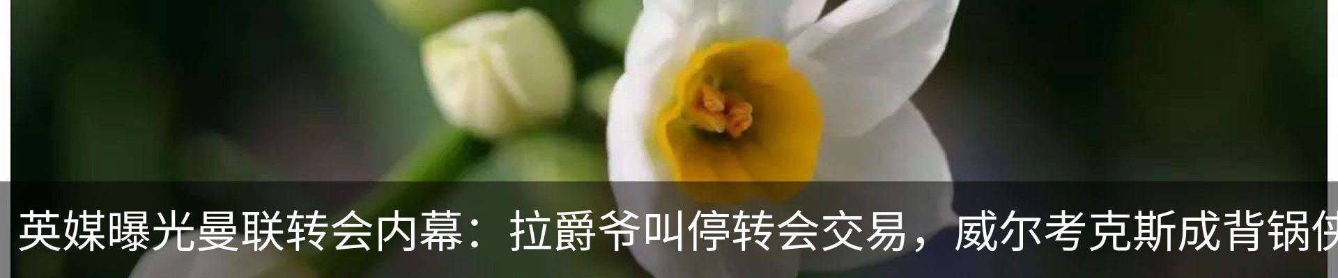 新闻动态
