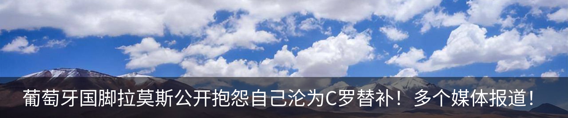 新闻动态