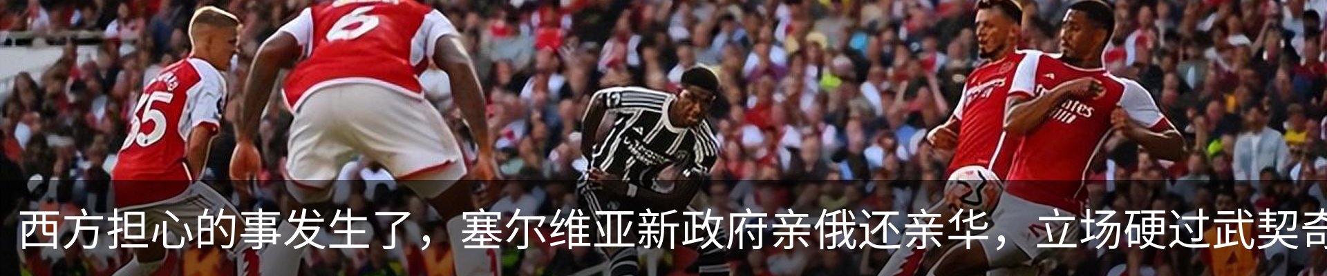 新闻动态