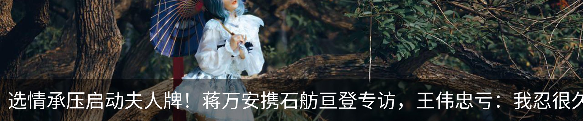 新闻动态