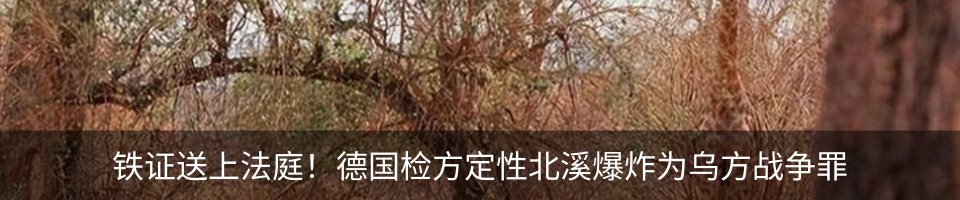 新闻动态