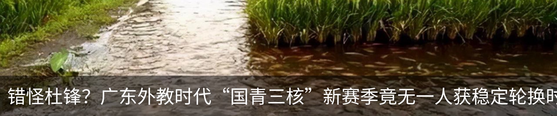 新闻动态
