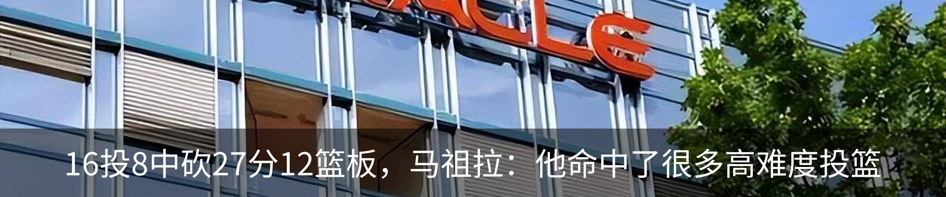 新闻动态