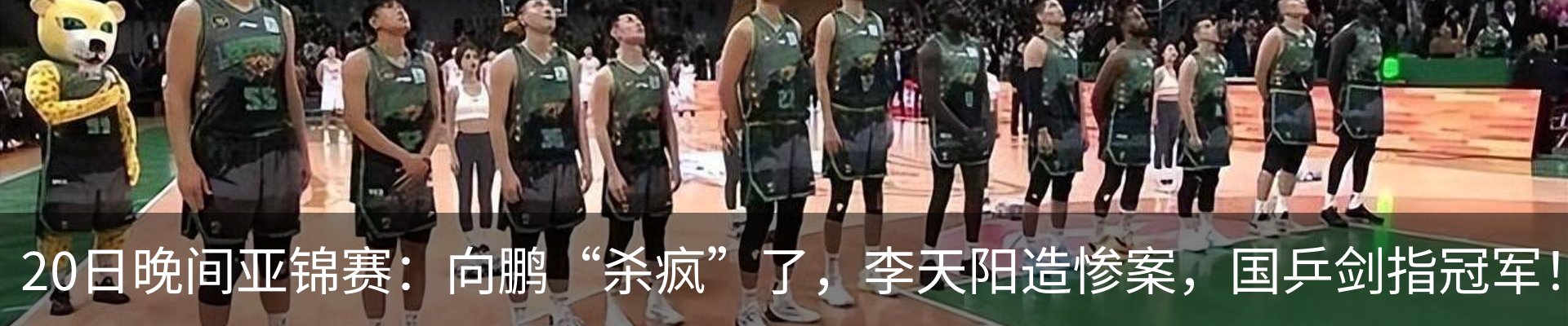 新闻动态
