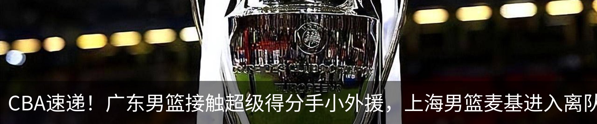 新闻动态