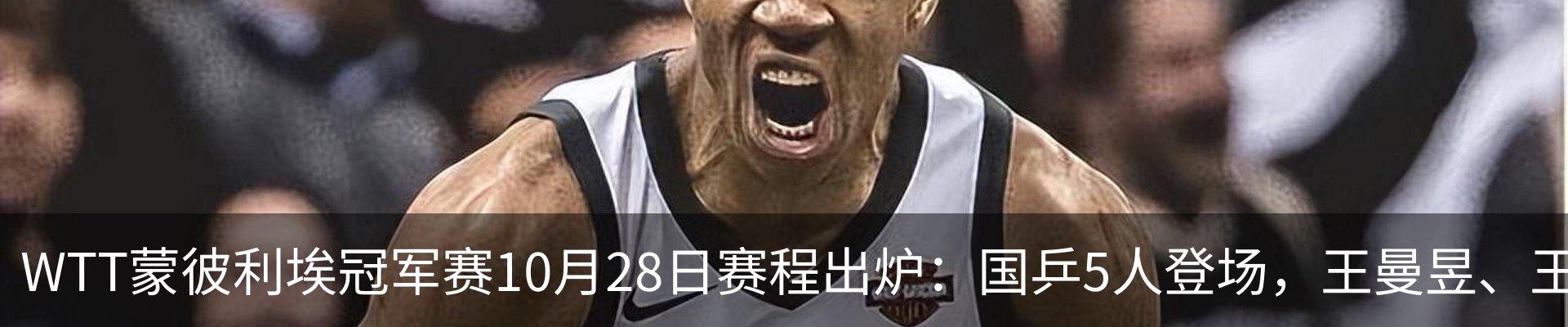 新闻动态