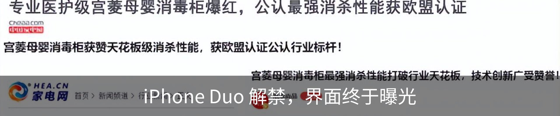 新闻动态
